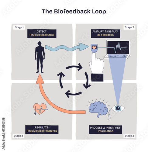 Biofeedback loop shows detecting physiological state, amplifying feedback, and regulating response using simple icons. Doodle style diagram