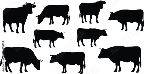 Cow silhouette set, black cattle figures, grazing livestock illustration, dairy farm animal vector, agriculture graphic, ox outline, rural design, mammal icon