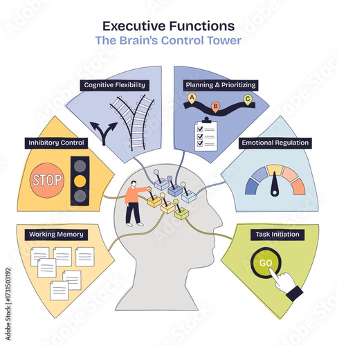Executive functions illustrate brain control with icons for planning, memory, and self-regulation. Doodle style diagram