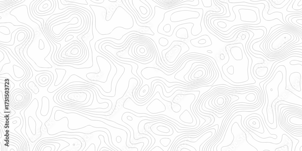 Obraz premium Minimal white line geometric grid outline curve counter map and wavy topography relief discovery area white, black line texture background. 