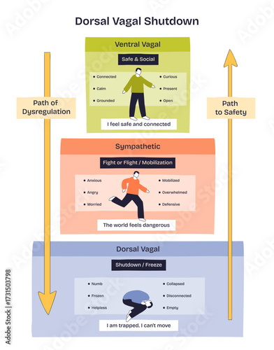 Dorsal vagal shutdown shows a person frozen, trapped, and immobile, illustrating nervous system collapse. Key objects, frozen figure, arrows, labeled sections. Doodle style diagram