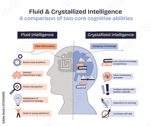Fluid and crystallized intelligence diagram shows a brain, books, and gears to illustrate problem-solving and knowledge use. Doodle style diagram