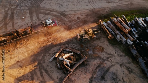 Logging equipment moves timber in a forest clearing at sunset surrounded by dirt and tire tracks
