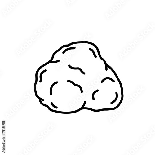 Irregularly Shaped Stone Outline Drawing