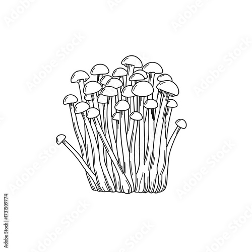 Detailed Illustration of Clustered Edible Mushrooms