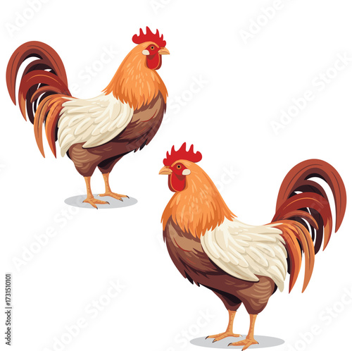 Set of Two beautiful male roosters isolated on white background , vector illustration design.