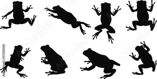 Frog silhouette, jumping frog, amphibian pose, animal movement, wildlife illustration, frog anatomy, dynamic leap, nature design, black silhouette, vector art