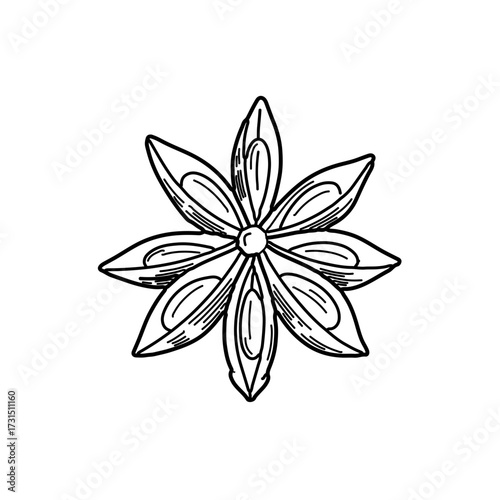 Detailed Line Art Illustration of a Star Anise Spice
