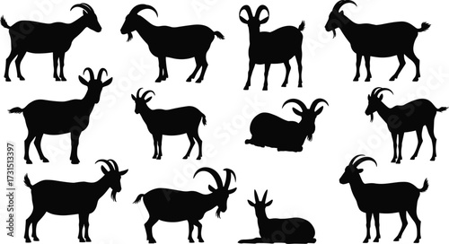 Goat silhouette collection, black goat shapes, farm animal vector, horned goat poses, livestock clipart, goat anatomy, graphic design asset