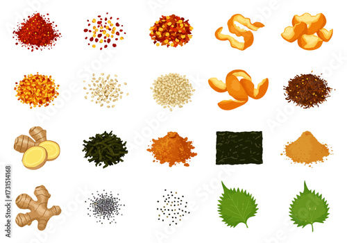 Assorted culinary spices herbs and ingredients are arranged on a plain white background