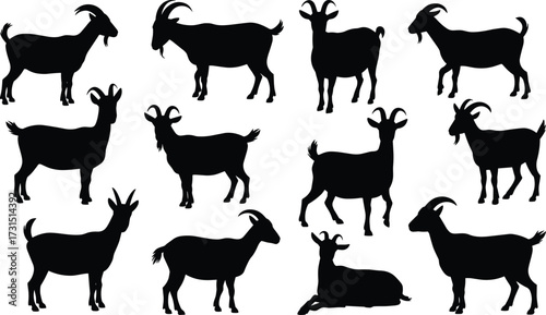 Goat silhouettes, farm animals, black vector goats, livestock illustration, horned goat poses, walking goats, standing goats, lying goat, animal clipart
