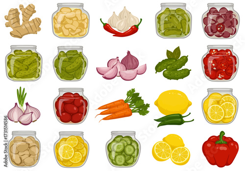 Assorted vegetables whole and in jars on a white background