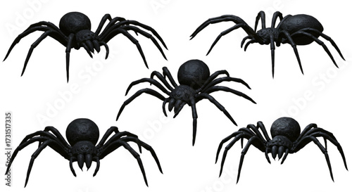 3D spider vector, segmented legs, top-down angle, slightly crawling motion, solid dark gray, floating.
