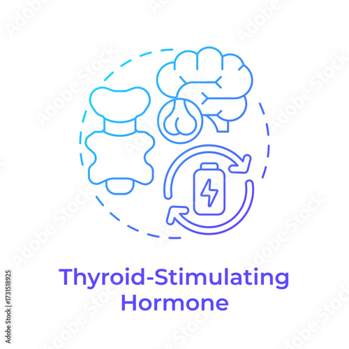 Thyroid stimulating hormone blue gradient concept icon. Regulate metabolism, energy levels and body functions. Round shape line illustration. Abstract idea. Graphic design. Easy to use in blog post