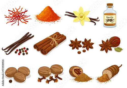 Spices arranged in an organized manner including saffron vanilla cinnamon cloves star anise and nutmeg