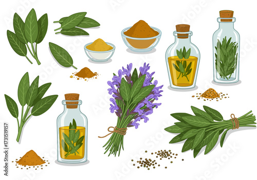Sagethemed botanical illustration features sage leaves powder flowers oil  seeds on white backdrop