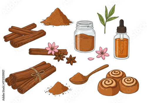 Stilllife vector illustration of various cinnamon products