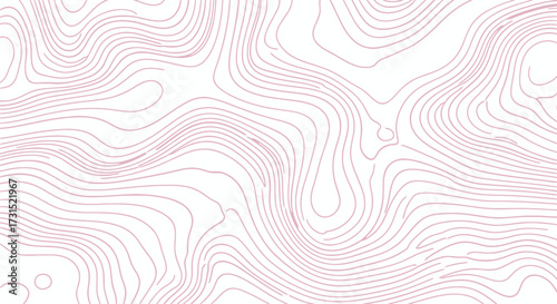 Topographic map depicting elevation contours, illustrating terrain features and geographical formations.