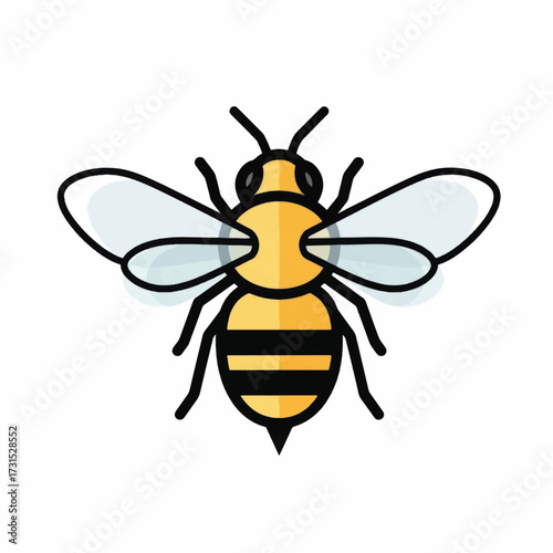 Detailed illustration of a honeybee with black stripes and wings.
