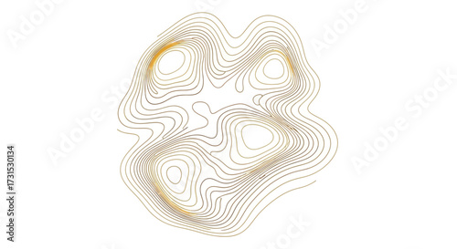 Abstract topographic map illustration featuring contour lines, representing elevation and terrain variations.