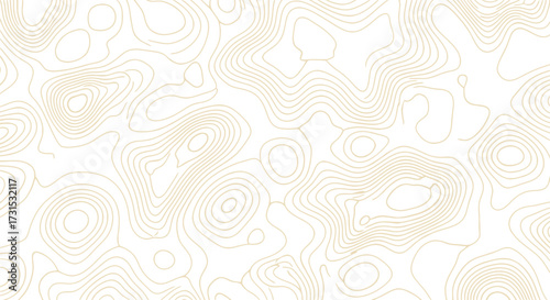 Abstract topographic map illustration featuring contour lines, representing elevation and terrain variations.