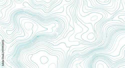 Abstract topographic map lines creating a contour pattern on a white background.