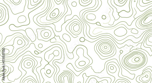 Abstract topographic map illustration featuring concentric contour lines, representing elevation changes across terrain.