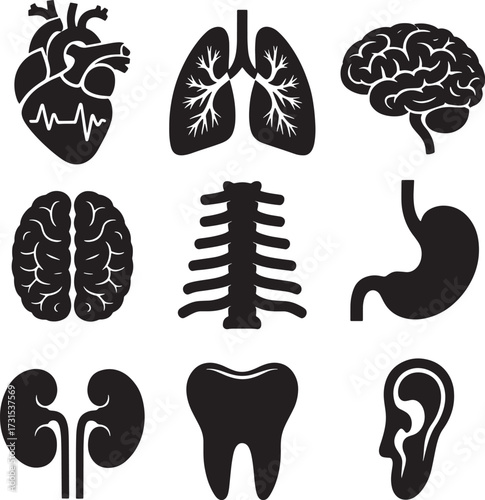 Human Anatomy Organs Internal Skeleton Silhouette Vector Clipart Icon Set