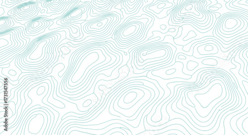 Abstract topographic contour lines map on a white background.