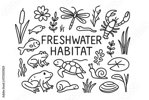 Freshwater Habitat Doodle. Freshwater Habitat. Hand-drawn doodle illustration of Freshwater Habitat. Fish,