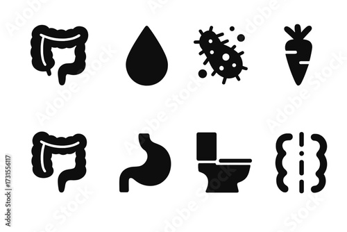 Digestive System Icons. Large Intestine Function. Filled icon set of Large Intestine Function: large intestine