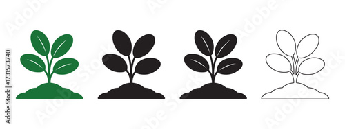 Vector growing plant icon set