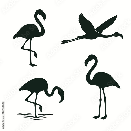 Flamingo Bird Silhouette Vector Set in Various Poses: Standing, Flying, and Wading