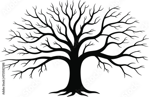 Black silhouette of a bare deciduous tree with spreading branches Keywords: tree, silhouette