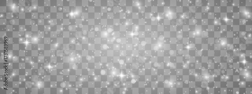 Fine glittering particles hover and shimmer with ethereal beauty. Sparkles cascade across a transparent layer. Ideal for festive or fantasy artwork.