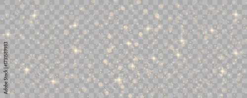 Transparent background filled with glittering dust creates a dreamy ambiance. Subtle light particles drift across. Ideal for magical designs or overlays.
