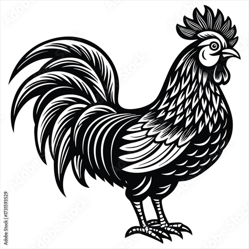 Rooster Vector Illustration. Rooster Line Art. Vintage Rooster Sketch. Traditional Rooster Artwork. Handmade Rooster Drawing. Rooster Clipart Black and White.. Detailed Rooster Illustration. Rooster.