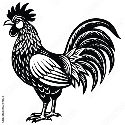 Rooster Vector Illustration. Rooster Line Art. Vintage Rooster Sketch. Traditional Rooster Artwork. Handmade Rooster Drawing. Rooster Clipart Black and White.. Detailed Rooster Illustration. Rooster.