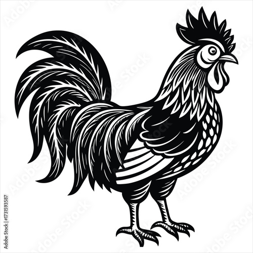 Rooster Vector Illustration. Rooster Line Art. Vintage Rooster Sketch. Traditional Rooster Artwork. Handmade Rooster Drawing. Rooster Clipart Black and White.. Detailed Rooster Illustration. Rooster.