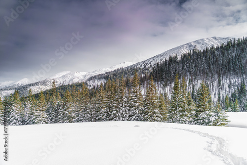 Tatra Mountains, Poland. Panorama of a mountain landscape. Winter in the mountains	
