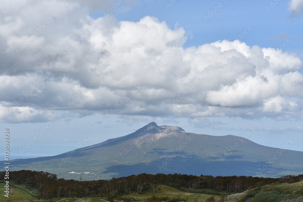 Fototapeta premium 噴火湾眺望台