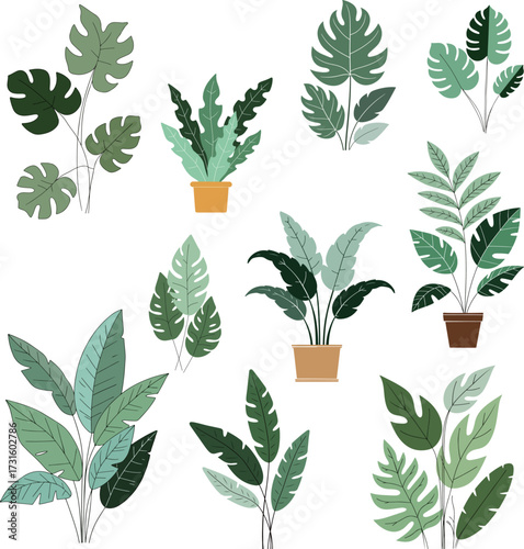 Assorted Green Leaf Plant Illustrations