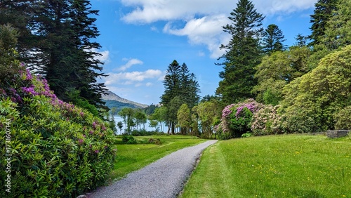 path in the park