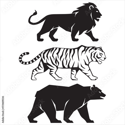 Tiger vector illustration of wild white tiger silhouette animal design