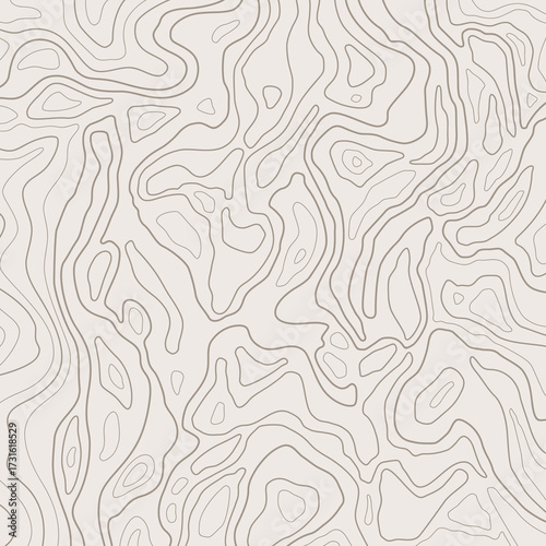 Topographic map lines, earth relief, contour background. Geographic grid, elevation map