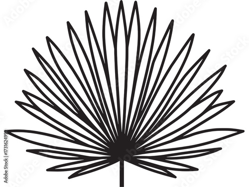 Palm Leaf Whispers Across Ancient Shores