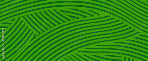 farm green banner, organic abstract background with fields. wavy green lines, natural organic products. ecology background. striped farmer green Pattern