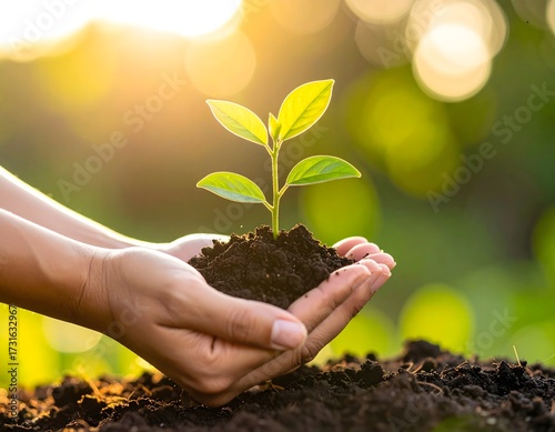 a pair of hands holding a light green plant growing on the ground, blurred natural background
