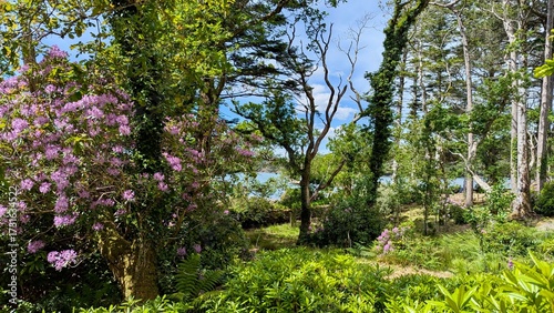 Parc fleuri