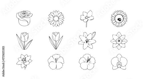 Collection of twelve delicate line art floral illustrations in silhouette
